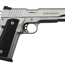 Gun