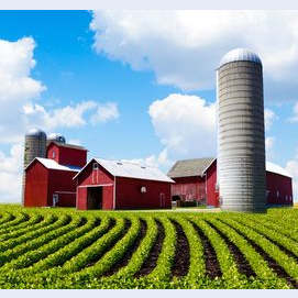 Farm