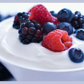 Yogurt and Fruit