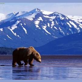 Alaska