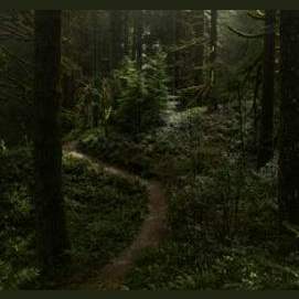 Rather walk ...