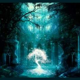 Enchanted Forest