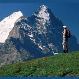 on a mountain