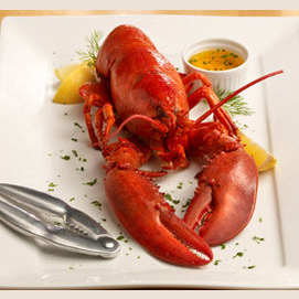 Twelve lobsters – he's feeling fancy today