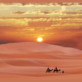 Deserts