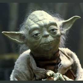 Yoda