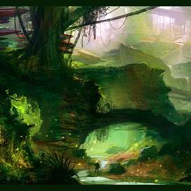 Forest