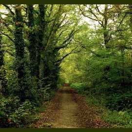 Straight ahead between the two