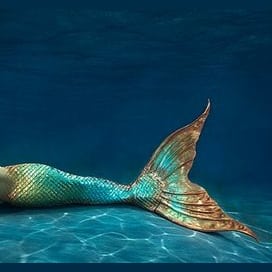 Cola de sirena