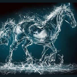 Water horse