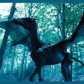 Thestral
