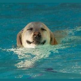 Swimming