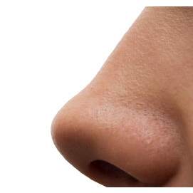 Nose