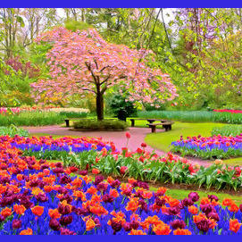 Spring