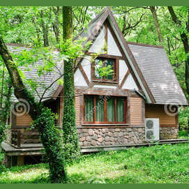 In the Woods