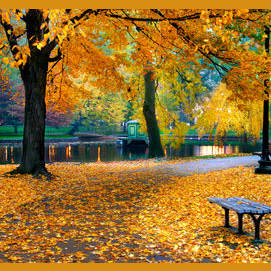 Boston