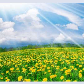 Spring