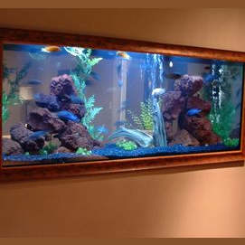 Aquariums