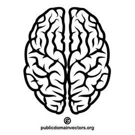 Brain (logic, critical anaysys, prudence)