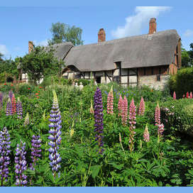 A country cottage