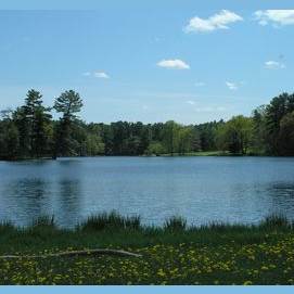 A lake