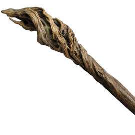 Staff