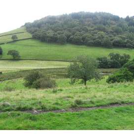 A hill