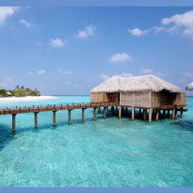 Beach House