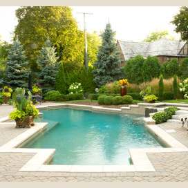 Go for a swim