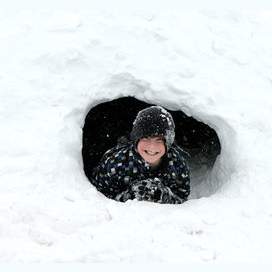 Building snow forts