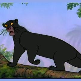 Bagheera