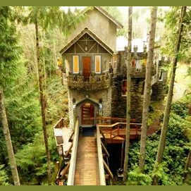 In an elegant tree house deep in the woods.