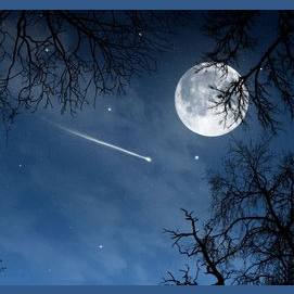 Night