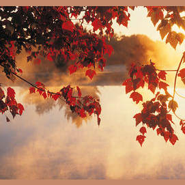 Fall