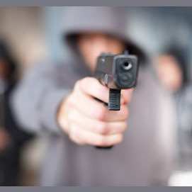 Gun