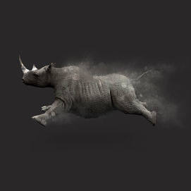 Rhino