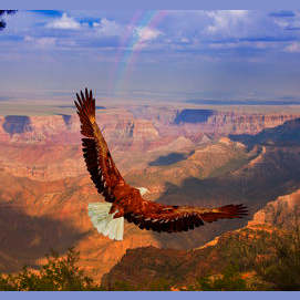 Eagle