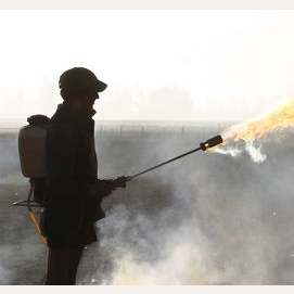 Flame Thrower