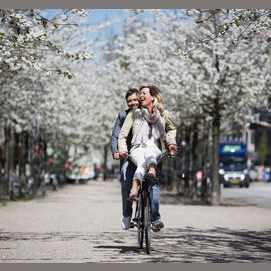 Spring