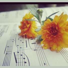 Creating beautiful music