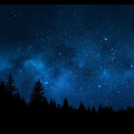 Night