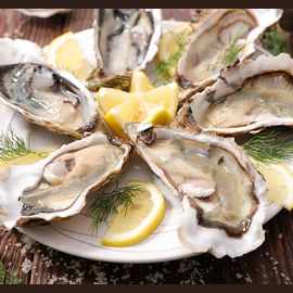 Oysters