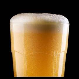 Beer