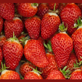 Strawberries