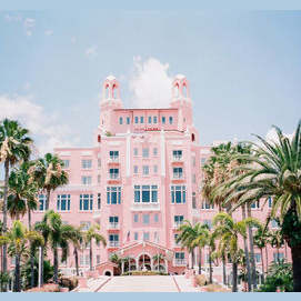 A Beautiful Pink Castle!