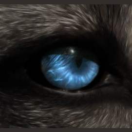 Were wolf 