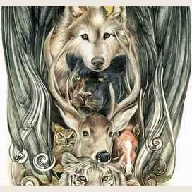 shapeshifter