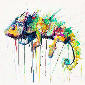 chameleon 