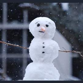 Making a snow person