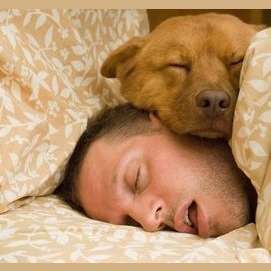 Sleeping in